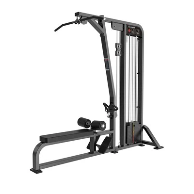 Gymnastik ved hjælp af Lat Pull Down / Low Row