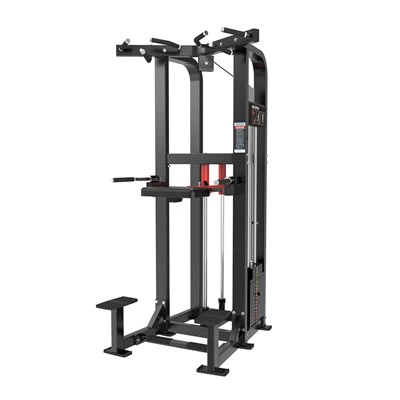 God pris Hot Sælger Commercial Gym Machine Assisted Chin-up / DIP